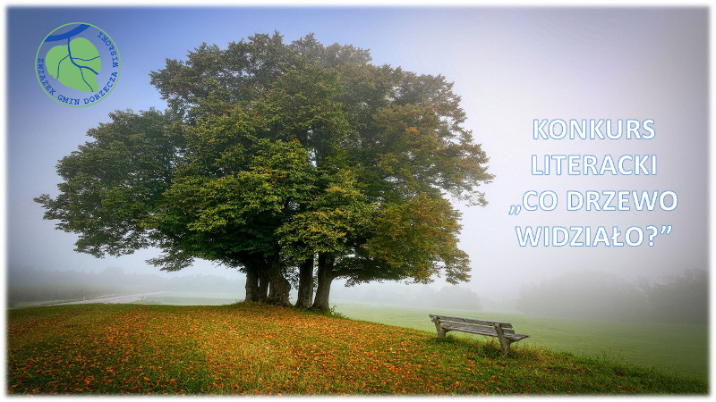 KONKURS CO DRZEWO WIDZIALO 2
